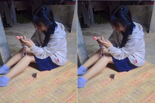 Mua về chật vật cho chúng ta lên giường